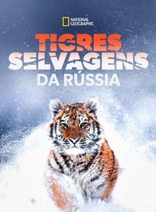 Tigres Selvagens da Rùssia