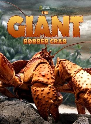 Pôster de Ilha Christmas: O Reino do Caranguejo Ladrão