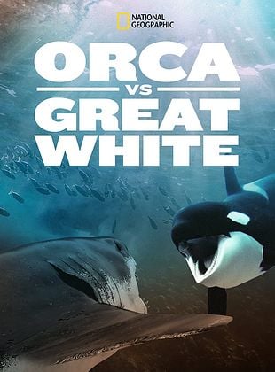 Pôster de Baleias vs. Tubarões