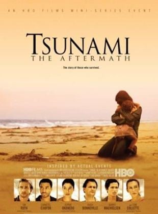 Tsunami: As Consequências