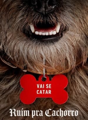 Cães Engraçados - Vídeos e Fotos Divertidos da Internet