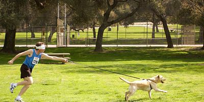 Pôster de Victor's Other Family