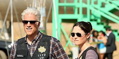 Pôster de Wild Flowers