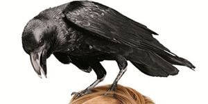 Pôster de What's Your Story?