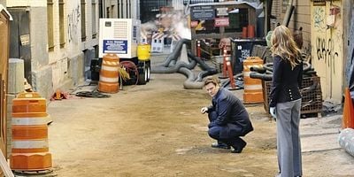 Pôster de The Fast and the Furriest