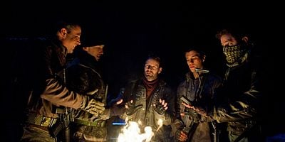 Pôster de Molon Labe