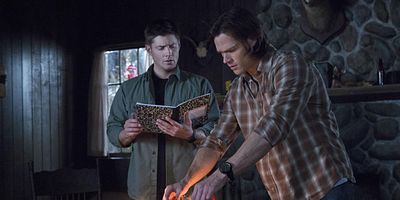 Pôster de Survival of the fittest