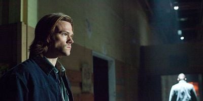 Pôster de Torn and Frayed