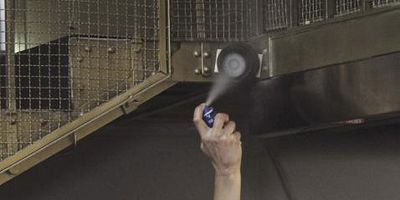 Pôster de The Three Bears