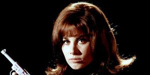 Pôster de The Dog Gone Affair