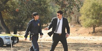 Pôster de The Spark in the Park