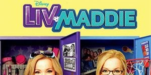 Pôster de Switch-A-Rooney