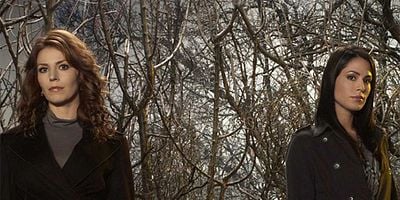 Pôster de Diamond Jane