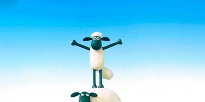 Pôster de The Stand Off