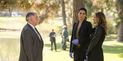 Pôster de A New Day