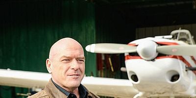 Pôster de Infestation