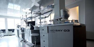 Pôster de Rules of the Game