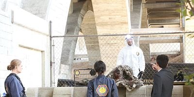 Pôster de The Purging of the Pundit