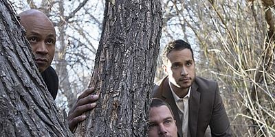 Pôster de Forest for the Trees