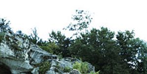 Pôster de Demain j'aurai bien plus de choses en commun avec mon ennemi qu'avec mon propre frère