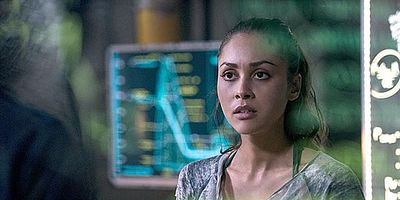 Pôster de Bodyguard of Lies