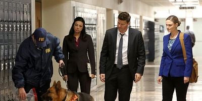 Pôster de The Teacher in the Books