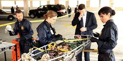 Pôster de The Putter in the Rough