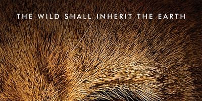 Pôster de Pack Mentality