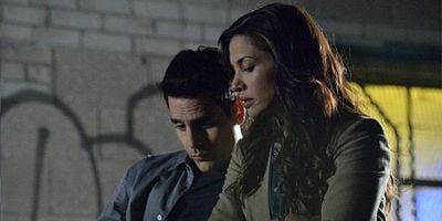 Pôster de Open Windows