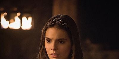 Pôster de The Siege