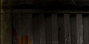 Pôster de A Time to be Born