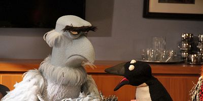 Pôster de Pig Girls Don't Cry