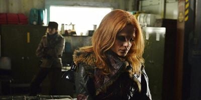 Pôster de The Last Unicorns