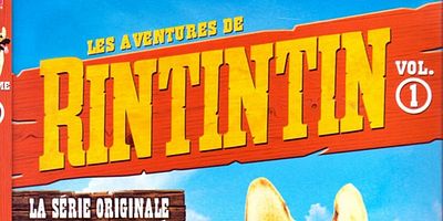 Pôster de Meet Rin Tin Tin