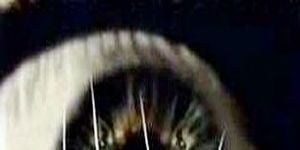 Pôster de The Passenger List