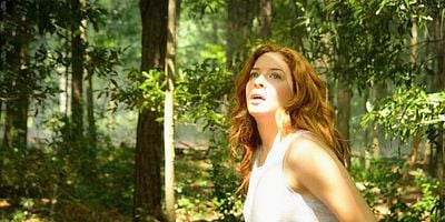 Pôster de The Enemy Within