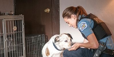 Pôster de Debts of the Past