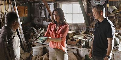 Pôster de The Harmful One