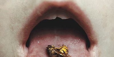 Pôster de The Dharma Burns