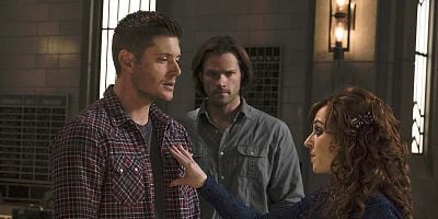 Pôster de Alpha and Omega