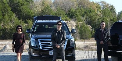 Pôster de Lirio de los Valles