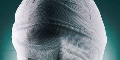 Pôster de The Final Girl(s)