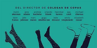 Pôster de The F**King Study