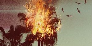 Pôster de Cry Havoc