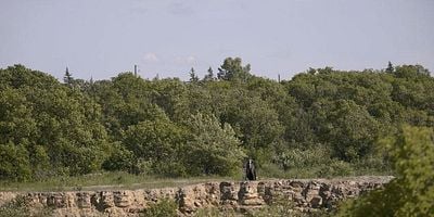 Pôster de I'll Hold Your Hand