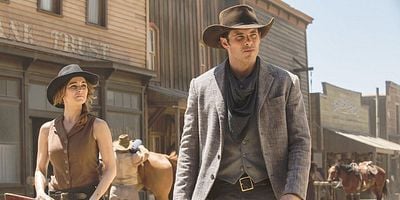 Pôster de The Stray