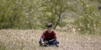 Pôster de A Strange Vessel