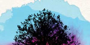 Pôster de Flame Trees