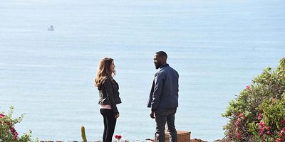 Pôster de Operation: Bobcat