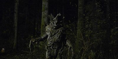 Pôster de Tree People